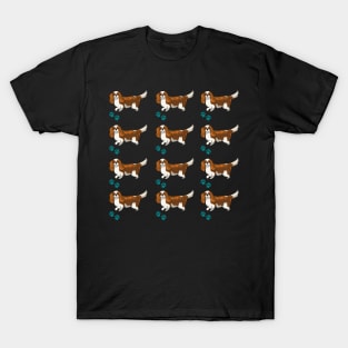 Cavalier King Charles Spaniel dog T-Shirt